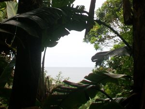 1491 m² Land available in Trafalgar