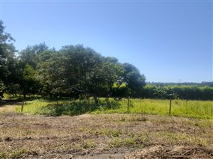 2 ha Farm in Tongaat Central