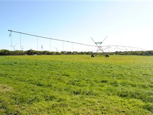5 ha Farm in St Francis Bay