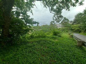8105 m² Land available in Paradise Valley