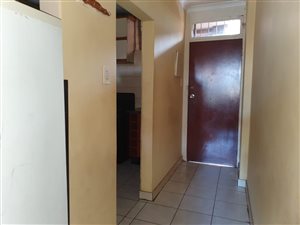 4 Bed Apartment in Bellevue
