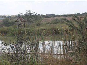 8.8 ha Land available in Pretoria Central