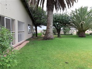 201 ha Farm in Theunissen