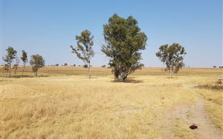 10.3 ha Land available in Onderstepoort