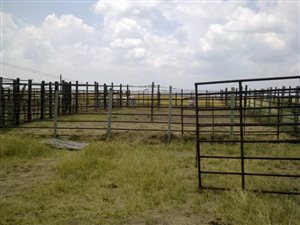 222 ha Farm in Heilbron