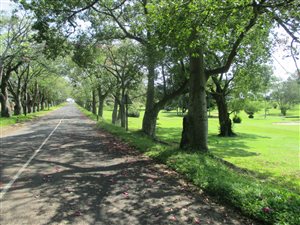 900 m² Land available in Felixton