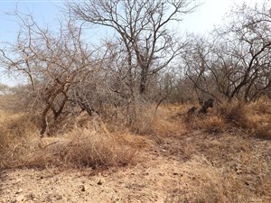 2050 m² Land available in Marloth Park