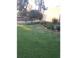 1 Bed Garden Cottage in Rembrandt Park