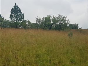 2 ha Farm in Ruimsig AH