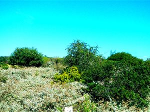 3 ha Land available in Wilderness Heights