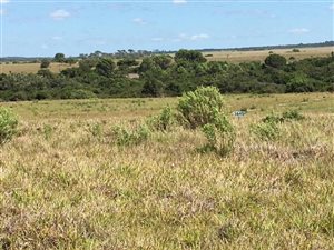 764 m² Land available in Kenton-on-Sea