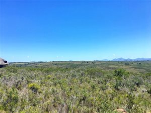 300 m² Land available in Gondwana Game Reserve