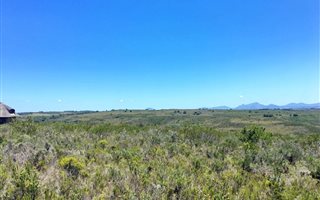 300 m² Land available in Gondwana Game Reserve