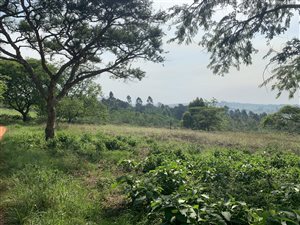 58.2 ha Farm in White River AH