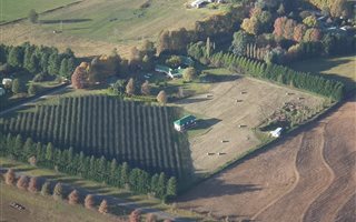 4.1 ha Farm in Underberg