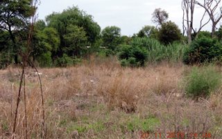 6000 m² Land available in Modimole (Nylstroom)