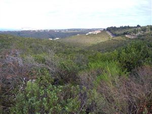 1215 m² Land available in Schoongezicht