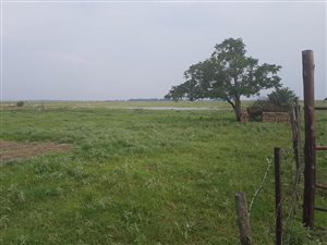 500 ha Farm in Delareyville