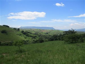 504 ha Farm in Pietermaritzburg Central
