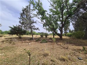 4.5 ha Smallholding in Shannon