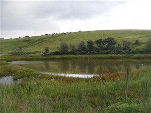 20 ha Farm in Winterton