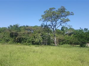 960 m² Land available in Veld En Vlei