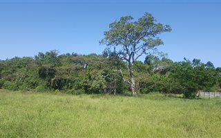 960 m² Land available in Veld En Vlei