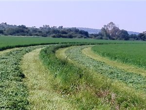 65 ha Farm in Hartswater