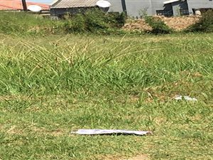 265 m² Land available in Golden Gardens