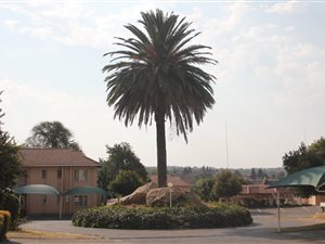 2 Bedroom Apartment in Sharonlea