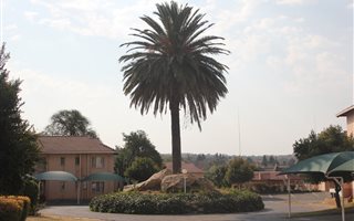 2 Bedroom Apartment in Sharonlea