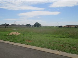 1000 m² Land available in Struisbult