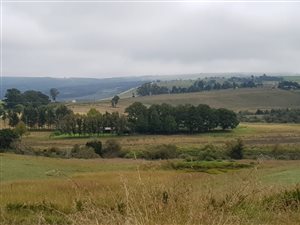 20 ha Farm in Mooi River