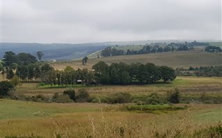 21 ha Farm in Mooi River