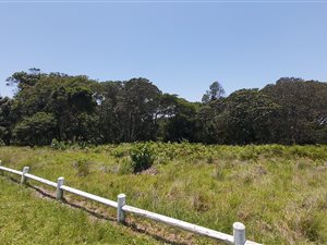 1249 m² Land available in Eshowe