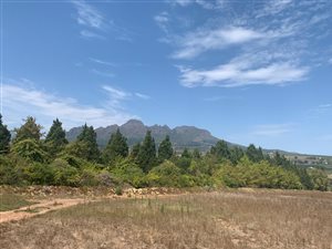 1.2 ha Land available in Stellenbosch Agricultural