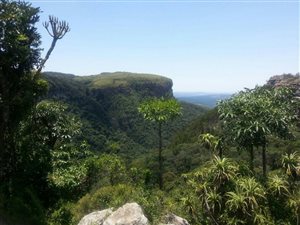 1 Bed Cluster in Graskop