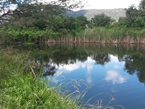 8.6 ha Farm in Barberton