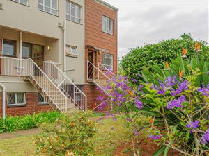 3 Bed Townhouse in Clarendon