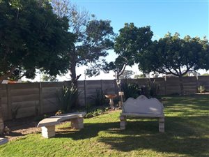 2 Bed Flat in Dana Bay