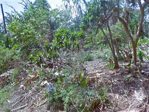 1341 m² Land available in Trafalgar