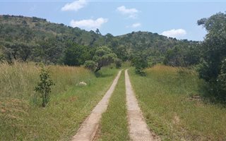 10.6 ha Land available in Boschdal