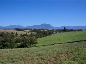 4 ha Farm in George Central