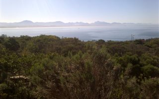458 m² Land available in De Bakke