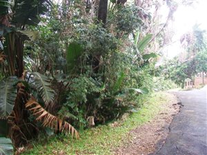 1608 m² Land available in Trafalgar