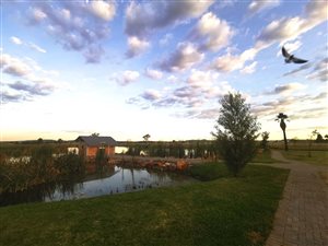 3 Bed House in Baillie Park
