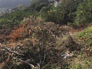 394 m² Land available in Waterloo