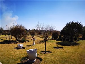 3.4 ha Smallholding in Springs Central