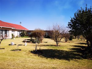 3.4 ha Smallholding in Springs Central