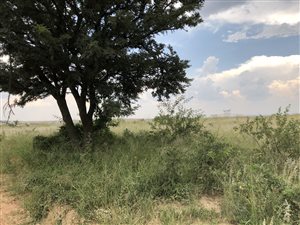 60.5 ha Land available in Doornrandje